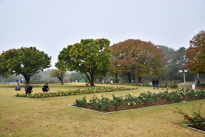 Highlights of the Chandigarh (Guided Half Day City Tour)
