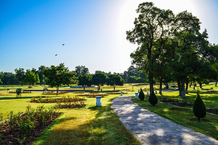 Highlights of the Chandigarh (Guided Half Day City Tour)