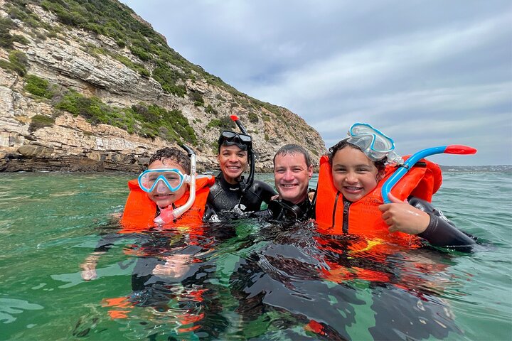 Swim with the Seals in Plettenberg Bay