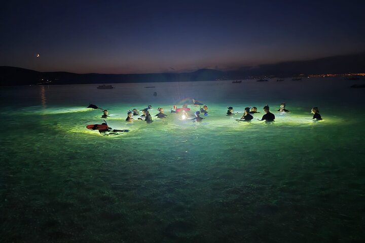 Nightsnorkeling