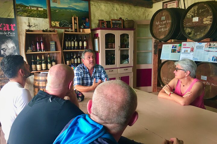 Award-Winning Luxury Wine Tasting at the Czar Pico Winery
