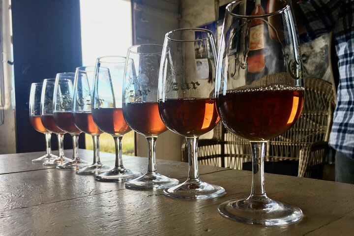 Award-Winning Luxury Wine Tasting at the Czar Pico Winery