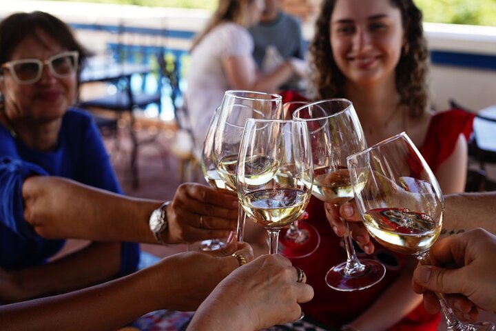 Albufeira Wine Tasting: Boutique Winery Tour & Historic Silves