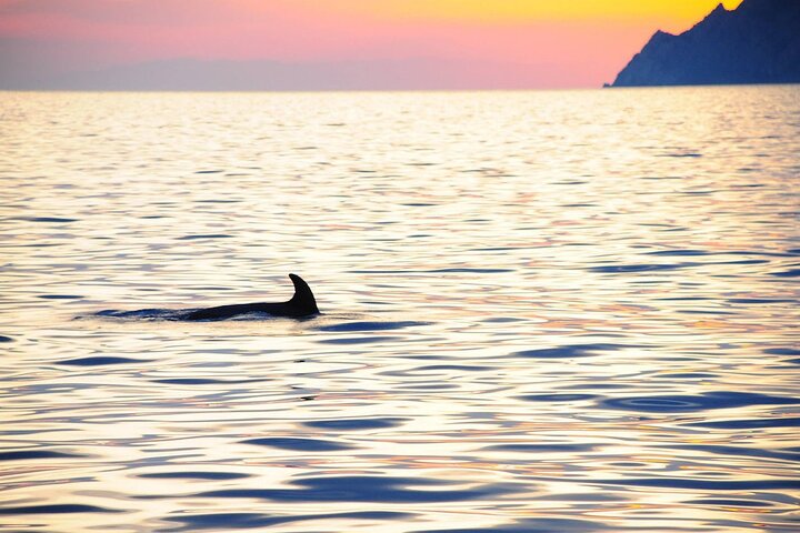 Cinque Terre Sunset Cruise with Aperitif from Monterosso