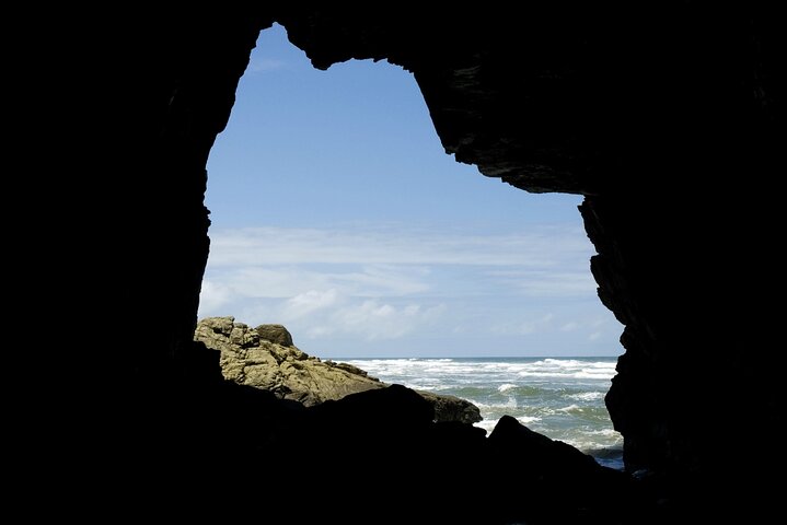 Complete Tour to Ilha do Mel