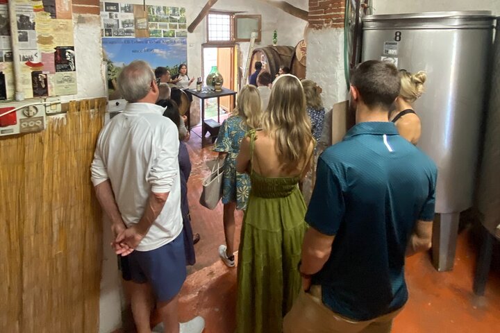Lucca tour and Pisa Tower + WineTasting by van from Livorno Port