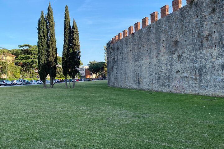 Lucca tour and Pisa Tower + WineTasting by van from Livorno Port