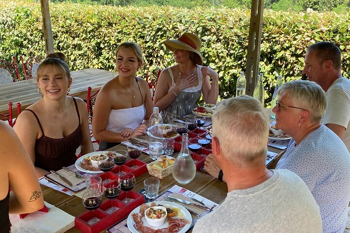 Tasting in a Tuscan Vineyard with transfer from Pisa