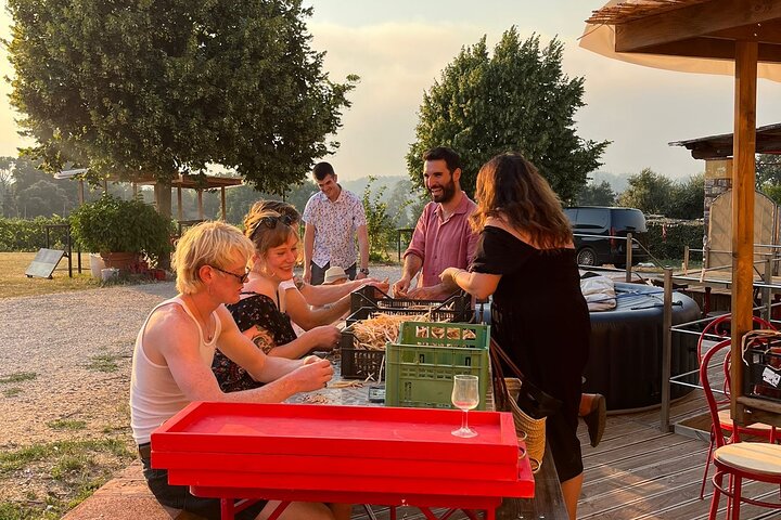 Tasting in a Tuscan Vineyard with transfer from Pisa