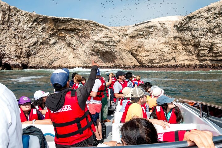 Ballestas Islands from San Martin Port