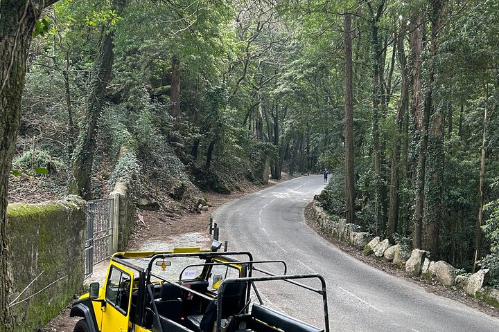 Private Tour Sintra, Pena Palace and Cascais from Lisbon