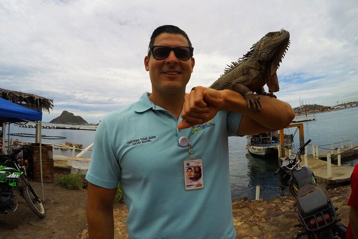 Beach Activities and All Inclusive Tour
