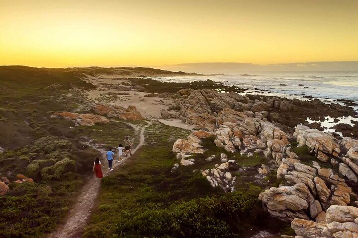 Half-Day Port Elizabeth & Kragga Kamma Reserve