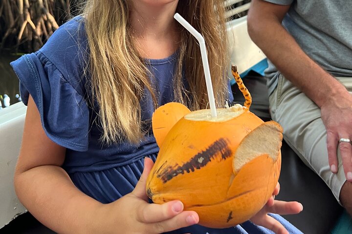 2h Bentota River Safari: Crocodiles, Monkeys, Mangrove & more