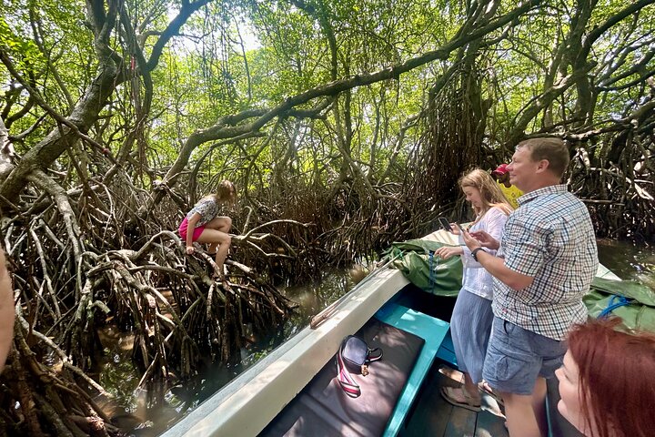 2h Bentota River Safari: Crocodiles, Monkeys, Mangrove & more