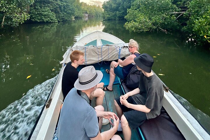 2h Bentota River Safari: Crocodiles, Monkeys, Mangrove & more