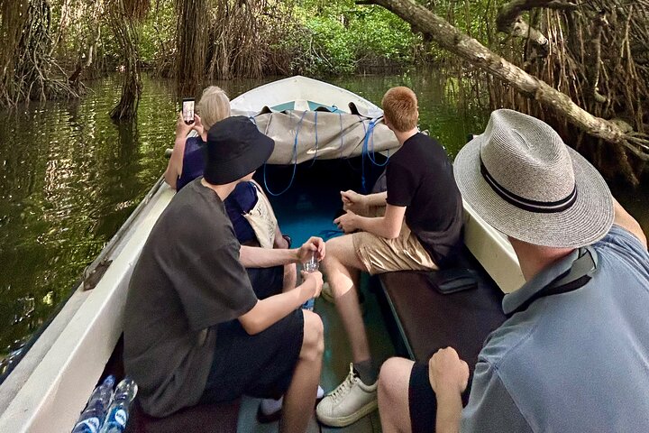 2h Bentota River Safari: Crocodiles, Monkeys, Mangrove & more
