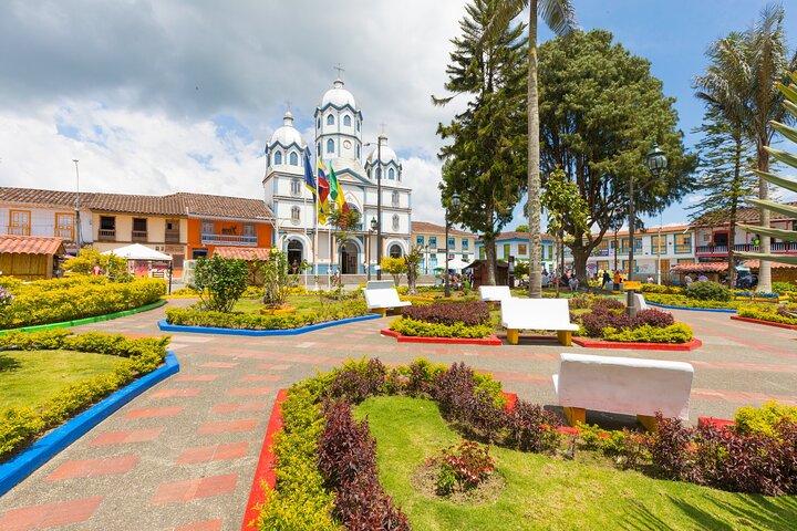 Filandia, Salento and Cocora Valley Tour