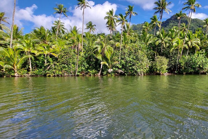 1/2 day "Treasures of Raiatea" by boat - ideal for cruise passengers