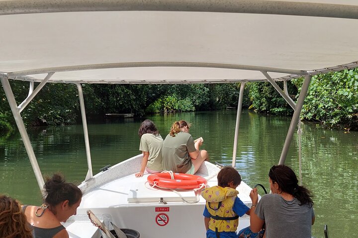 1/2 day "Treasures of Raiatea" by boat - ideal for cruise passengers