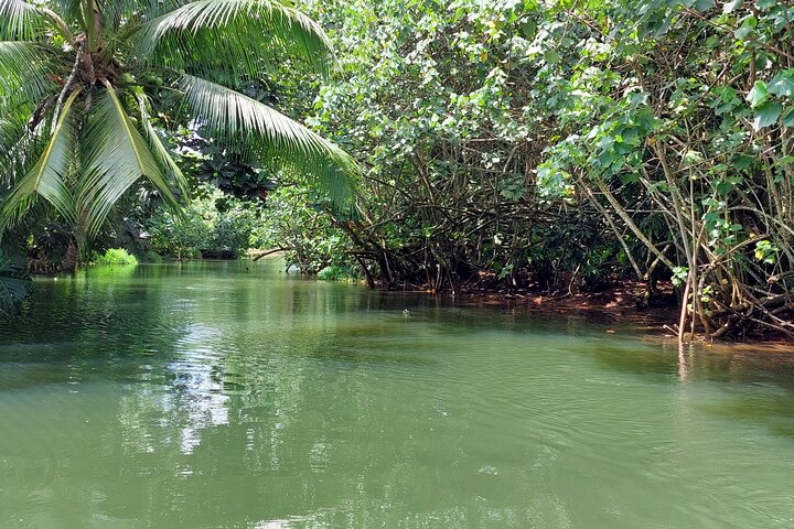 1/2 day "Treasures of Raiatea" by boat - ideal for cruise passengers