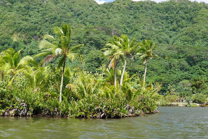 1/2 day "Treasures of Raiatea" by boat - ideal for cruise passengers