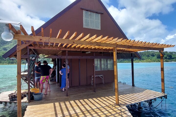 1/2 day "Treasures of Raiatea" by boat - ideal for cruise passengers