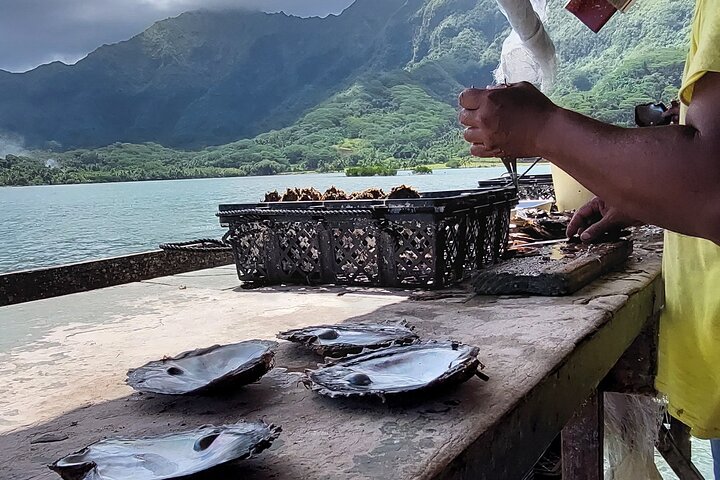 1/2 day "Treasures of Raiatea" by boat - ideal for cruise passengers