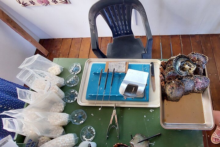 1/2 day "Treasures of Raiatea" by boat - ideal for cruise passengers
