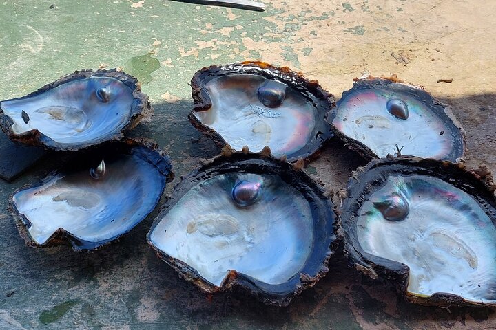 1/2 day "Treasures of Raiatea" by boat - ideal for cruise passengers