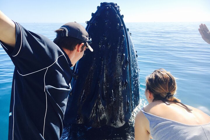 Remote K'gari (Fraser Island) & Whale Experience