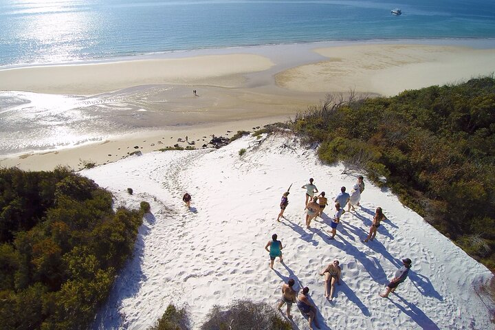 Remote K'gari (Fraser Island) & Whale Experience