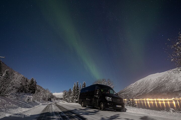 Tromso Aurora Hunt with Bonfire, Meal, Winter Suit & Photos