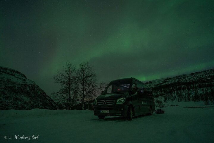 Tromso Aurora Hunt with Bonfire, Meal, Winter Suit & Photos