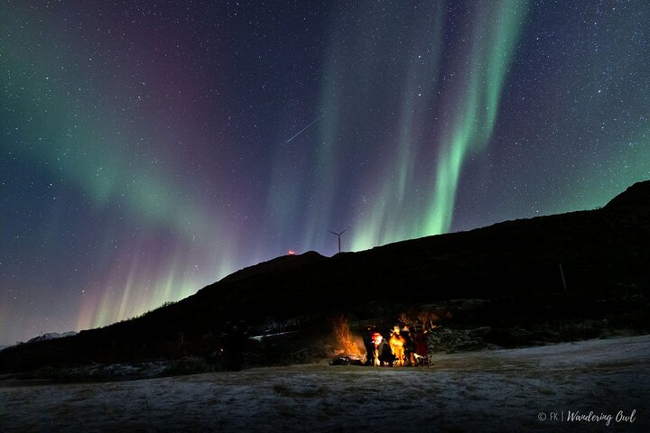 Tromso Aurora Hunt with Bonfire, Meal, Winter Suit & Photos