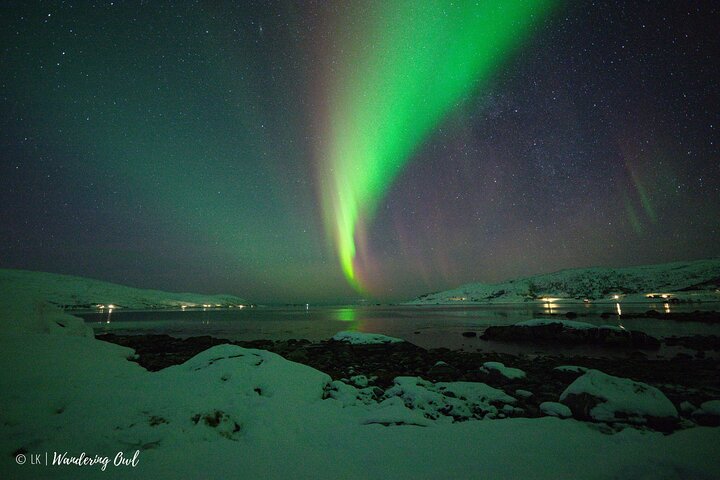 Tromso Aurora Hunt with Bonfire, Meal, Winter Suit & Photos