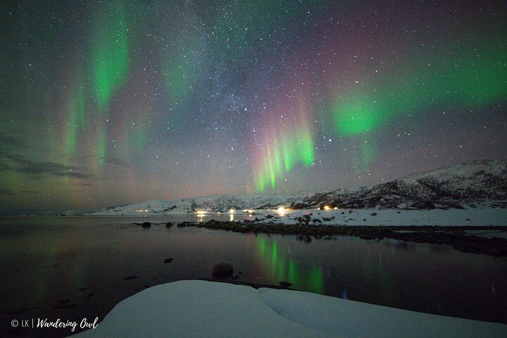 Tromso Aurora Hunt with Bonfire, Meal, Winter Suit & Photos