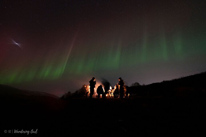 Tromso Aurora Hunt with Bonfire, Meal, Winter Suit & Photos