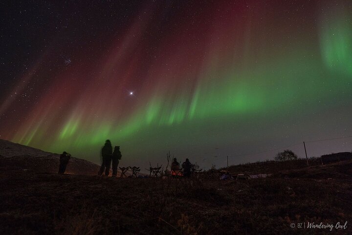 Tromso Aurora Hunt with Bonfire, Meal, Winter Suit & Photos