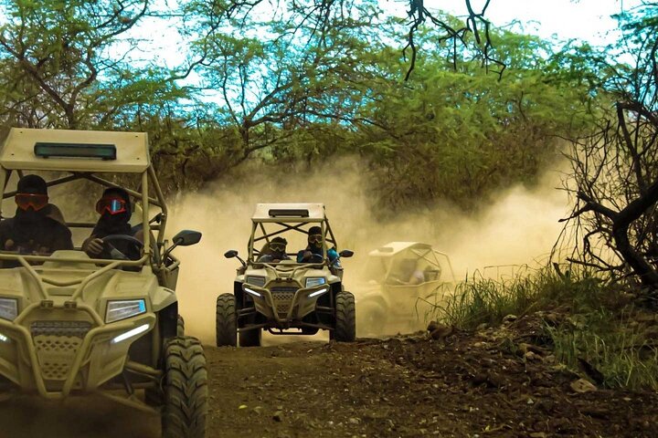 Quad Buggy Excursion Tour