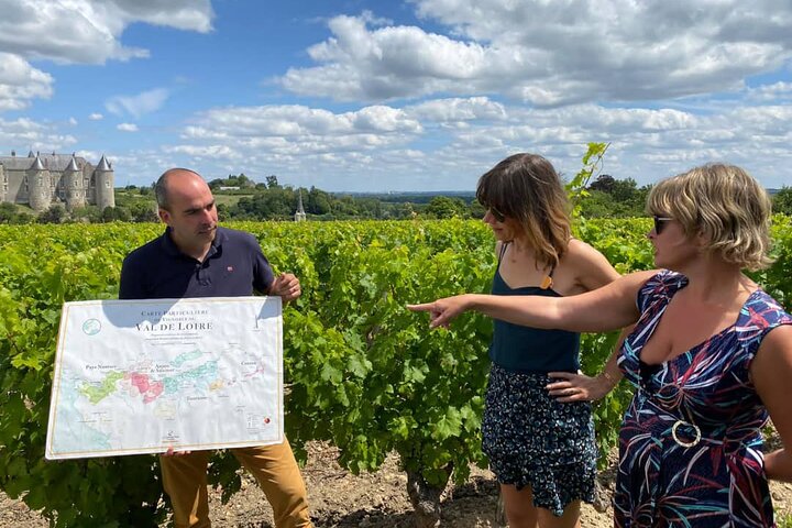 Afternoon Loire Valley Wine Tour from Tours or Amboise