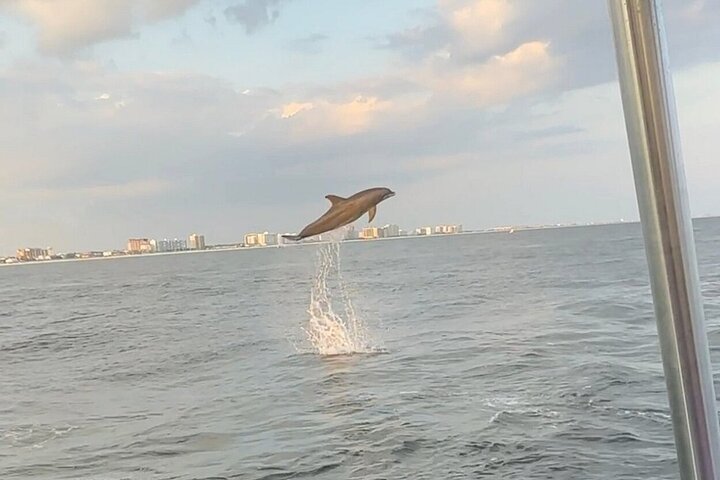 Destin Harbor Sunset Eco Dolphin Cruise
