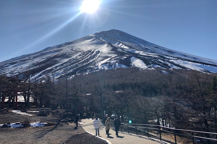 Mt. Fuji & Hakone Bus Tour Bullet Train Return & 28-Hotel Pick-up