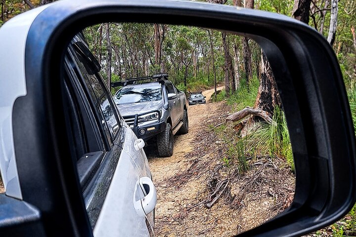 4WD Guided Day Trip In D'Aguilar National Park