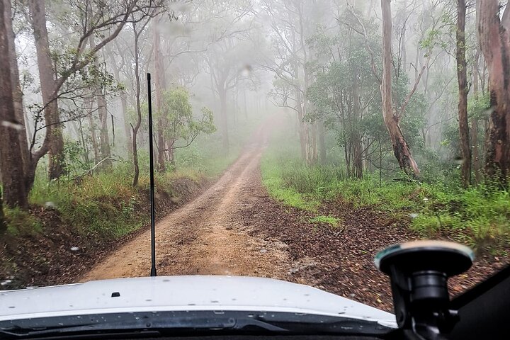 4WD Guided Day Trip In D'Aguilar National Park