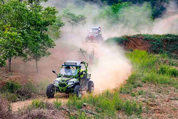 Quad Buggy Excursion Tour