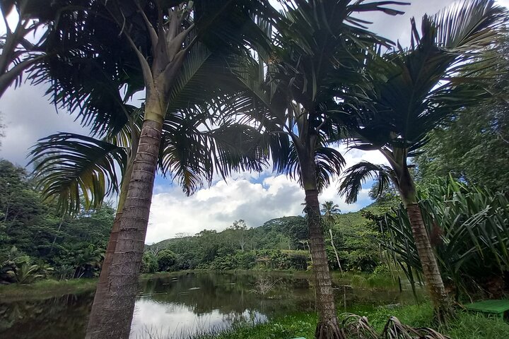 Mahe island Seychelles , unforgettable & adventurous tour