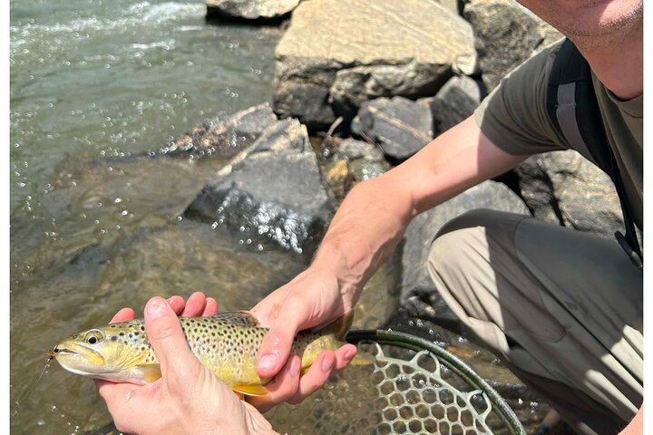 Half Day Fly Fishing Lesson on Clear Creek near Denver