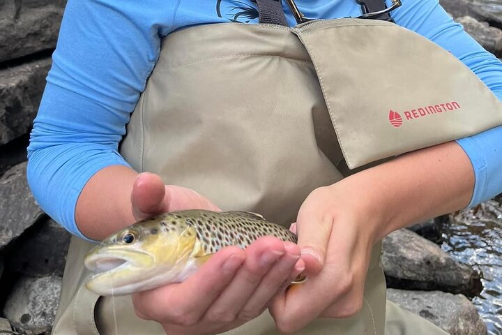 Half Day Fly Fishing Lesson on Clear Creek near Denver
