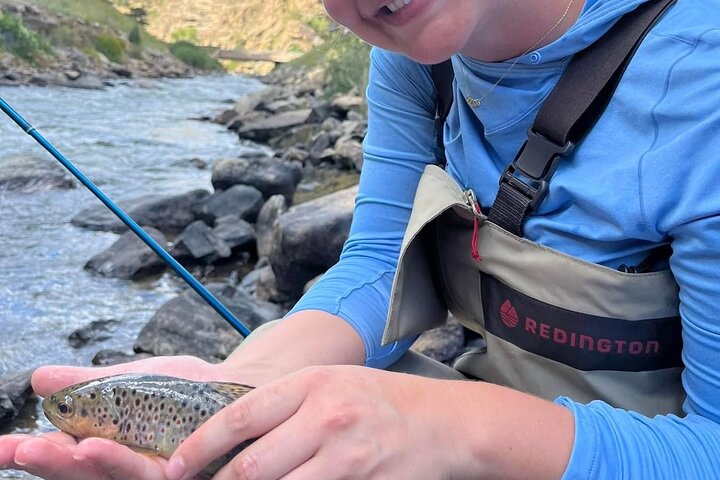 Half Day Fly Fishing Lesson on Clear Creek near Denver